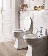 Image result for Bodea Toilet