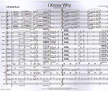 Image result for I Know Why and so Do You