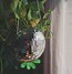 Image result for Disco Ball Planter