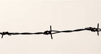 Image result for Clean Barbed Wire