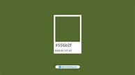 Image result for Olive Green Pantone Ref