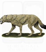 Image result for Grey Dire Wolf