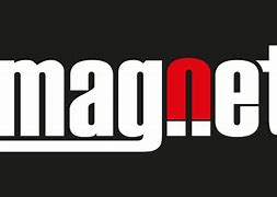 Image result for Magneto Renewable Energy Logo