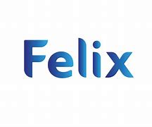 Image result for Felix X-symbol