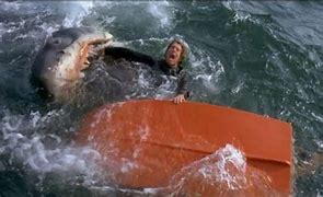 Image result for Jaws Movie Beach Scene