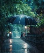 Image result for Pic of Rain