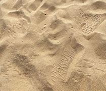 Image result for Beach Path Texture