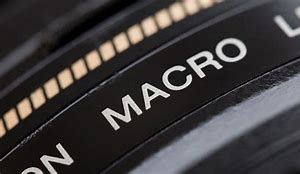 Image result for What Is a Macro Lens