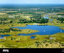 Image result for Okavango Delta Botswana Windows Background