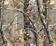 Image result for Realtree Camo Deer