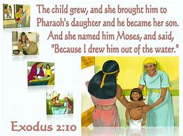 Image result for Exodus 2