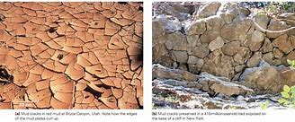 Image result for Sedimentary Structures Environment. Examples