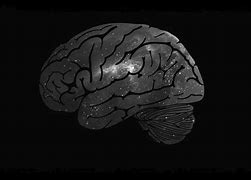 Image result for Brain Wallpaper 4K