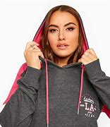 Image result for PBR Hoodie Charcoal Grey