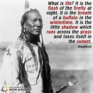 Image result for Native American Indian Wisdom