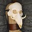 Image result for Bvear Skull Mask