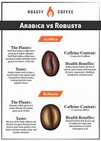 Image result for Euca Robusta