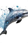 Image result for Dolphine Smile PNG