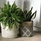 Image result for Unique Indoor Plant Pots