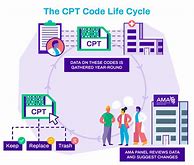 Image result for List of CPT Codes