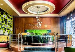 Image result for Aquarium Salon