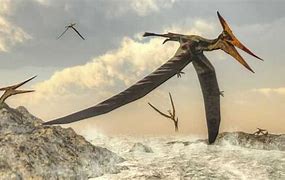 Image result for Pterosaur Beach