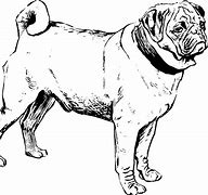 Image result for Thanksgiving Pug Black and White