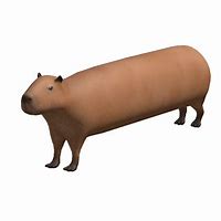 Image result for Capybara Shirt Roblox