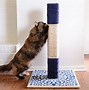 Image result for DIY Cat Furniture