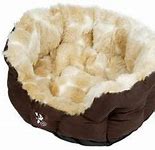 Image result for Yap Dog Bed