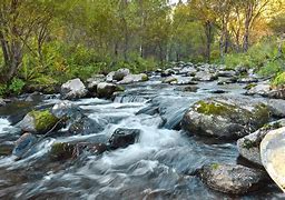 Image result for River Water Flow