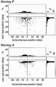 Image result for Horizontal Gaze