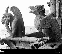 Image result for Gargoyle Bird