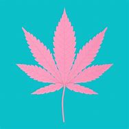 Image result for Pink Marijuana Leaf Design