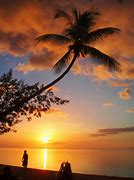 Image result for Fiji Sunset Logo