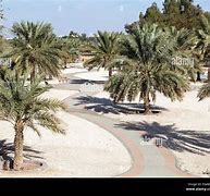 Image result for Sahra Pics with Trees