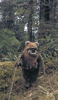 Image result for Ewok Doll