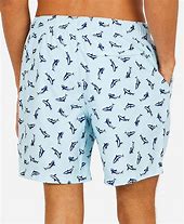 Image result for Men's Shark Swim Trunks