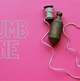 Image result for Plumb Line Bible