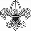 Image result for Boy Scout Symbol