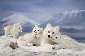 Image result for Snow Wolf Pups