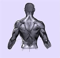 Image result for Anime Back Drawing