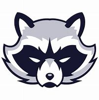 Image result for Smart Raccoon