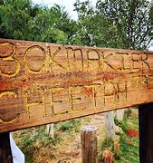 Image result for Suikerbosrand Nature Reserve