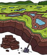 Image result for Carbon in Peat Bog