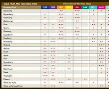 Image result for Wine Yeast Strains