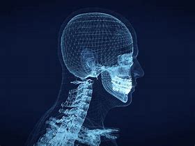 Image result for Human Skull 3D Model Wireframe Abstract