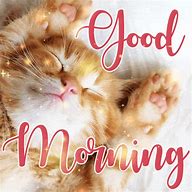 Image result for Good Morning Cat. Emoji