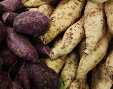 Image result for Batata Caribbean