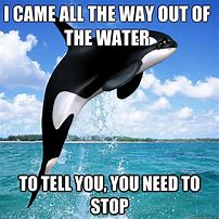 Image result for Killer Whale Titan Meme